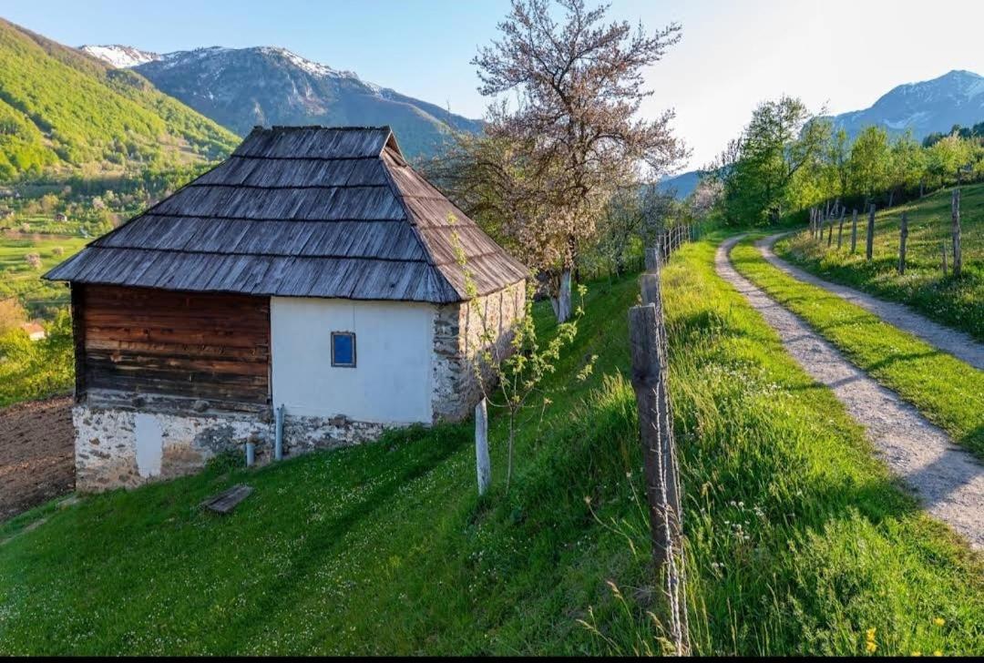 Household Babovic - Old House Miljan'S Valley Andrijevica Ngoại thất bức ảnh